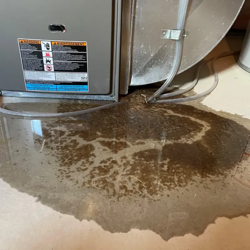 Appliance Leak Cleanup in Marks, MS